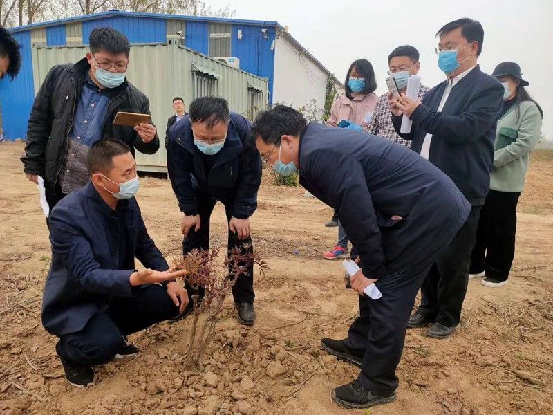 市區(qū)領導來基地參觀指導工作