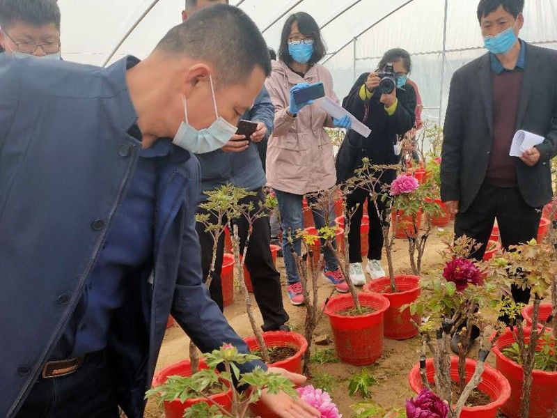 市區(qū)領導來基地參觀指導工作